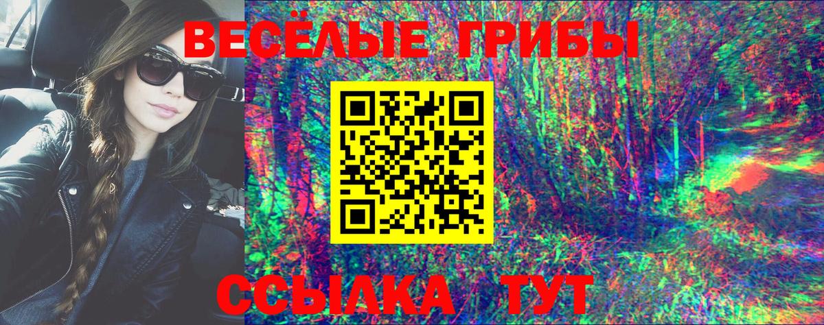 Псилоцибиновые грибы мицелий  Вход с VPN  Донецк 