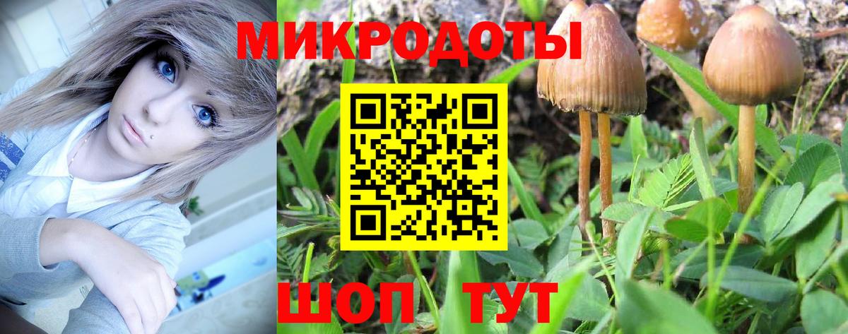 Псилоцибиновые грибы MAGIC MUSHROOMS Донецк